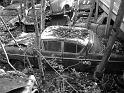 Autofriedhof - 215